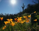 photo thumbnail #14