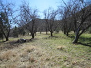 photo thumbnail #9