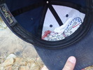 photo thumbnail #9