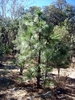 2012-02-25 :2: Jack Mountain Loop :: bikeandhike