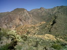 photo thumbnail #2