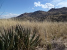photo thumbnail #7