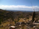 photo thumbnail #13