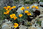 photo thumbnail #15