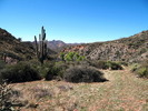 photo thumbnail #11