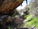 photo thumbnail #14
