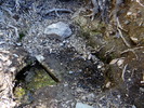 2012-02-26 :1: White Canyon Upper - SW Approach FR319 :: rwstorm