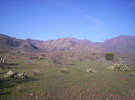 photo thumbnail #3