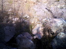 photo thumbnail #10