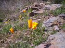 photo thumbnail #11