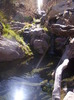 photo thumbnail #12