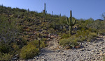 photo thumbnail #4