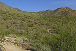 photo thumbnail #5