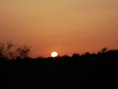 photo thumbnail #15