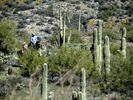 photo thumbnail #3