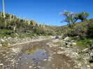 photo thumbnail #6