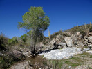 photo thumbnail #7