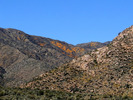 photo thumbnail #8