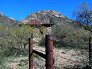photo thumbnail #15