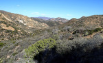 photo thumbnail #8
