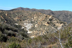 photo thumbnail #9