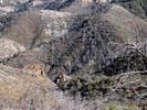photo thumbnail #14