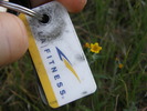 photo thumbnail #4