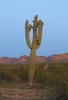photo thumbnail #15