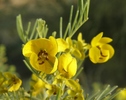 photo thumbnail #10