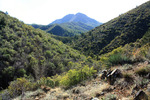photo thumbnail #6