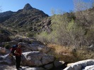 photo thumbnail #4