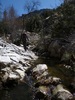 photo thumbnail #7