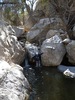 photo thumbnail #14