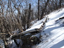 photo thumbnail #2