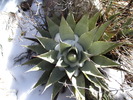 photo thumbnail #14