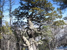 photo thumbnail #15