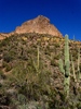 photo thumbnail #2