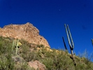 photo thumbnail #4