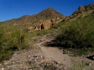 photo thumbnail #5