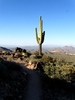 photo thumbnail #12