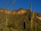 photo thumbnail #15