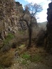 photo thumbnail #14