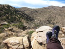 photo thumbnail #8