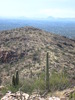 photo thumbnail #12