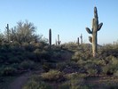 photo thumbnail #1