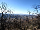photo thumbnail #8