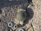 photo thumbnail #11