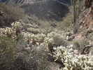 photo thumbnail #4