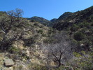 photo thumbnail #11