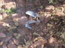 photo thumbnail #5